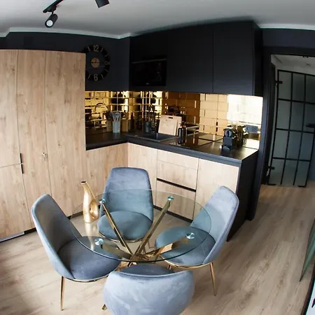 Apartment Neptun Centrum Gliwice