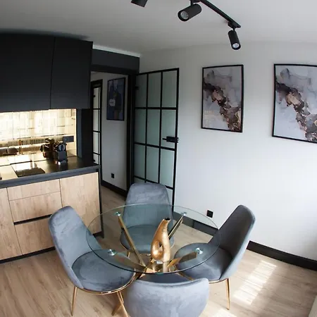 Apartment Neptun Centrum Gliwice