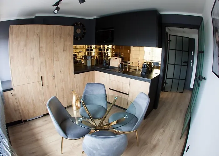 Apartament Neptun Centrum Gliwice