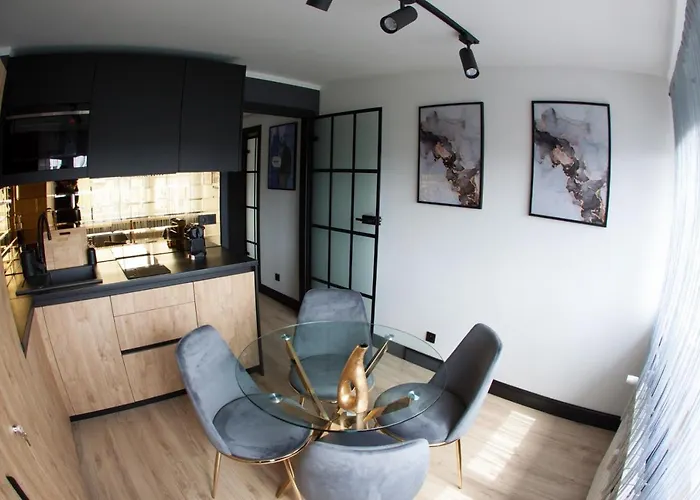 Apartament Neptun Centrum Gliwice